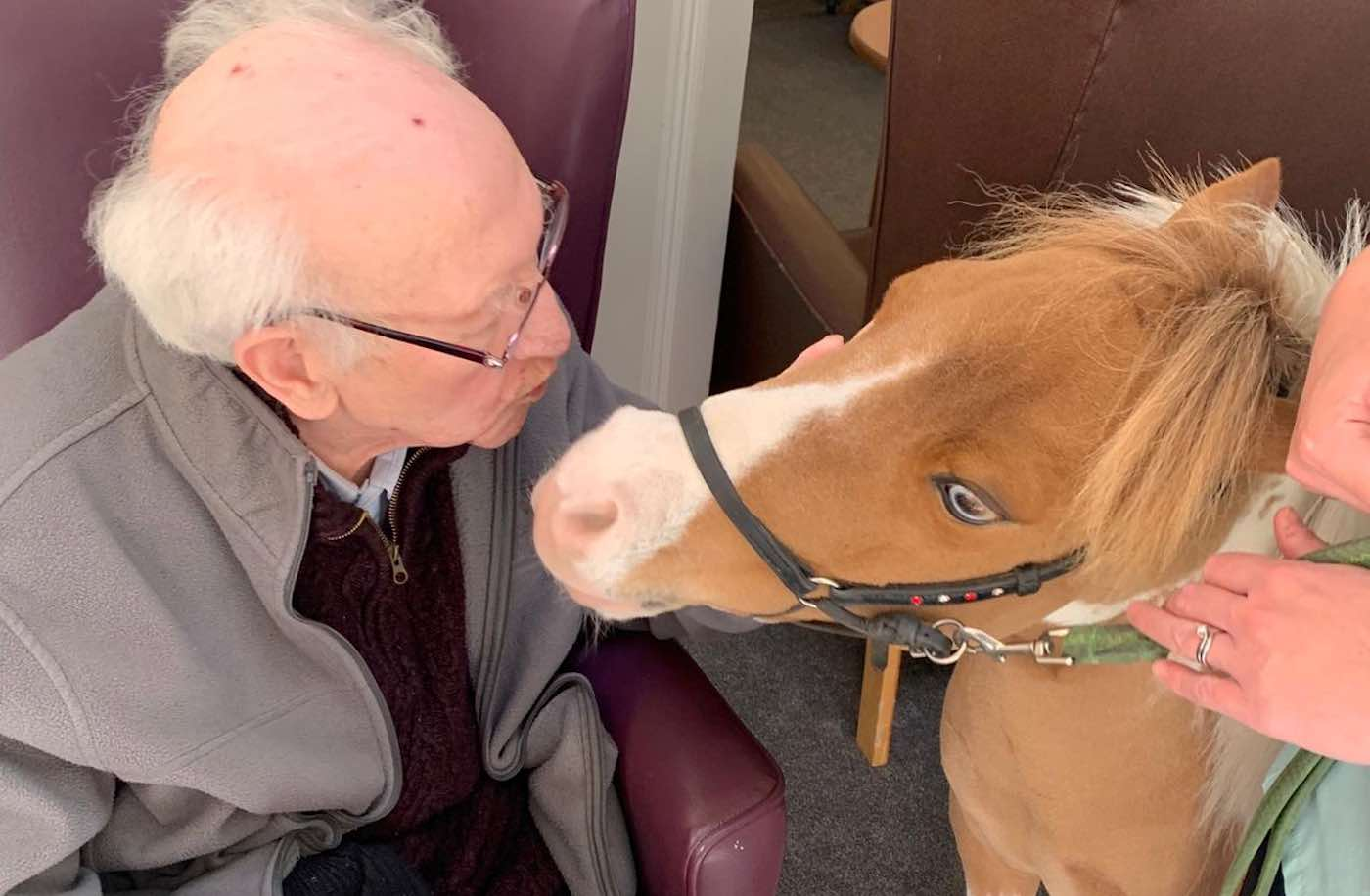 Nursing Home Residents With Dementia Enjoy Very Special Guest When Visits Are Restricted – a Miniature Horse