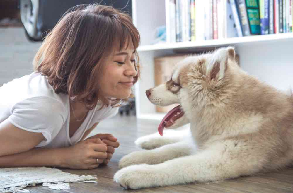 New Study Reveals a Dog's Heart Rate Increases When Their Owner Simply Says 'I Love You'