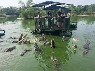 Fazenda de Crocodilos