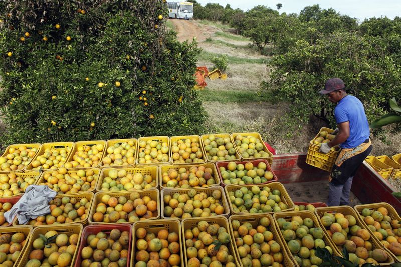 Gigantes do suco de laranja viram réus em ação na Justiça que cobra R$12,7 bi por cartel - ISTOÉ DINHEIRO
