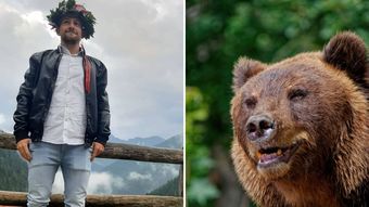Corredor é morto por urso durante trilha, e província italiana ordena que animal seja abatido