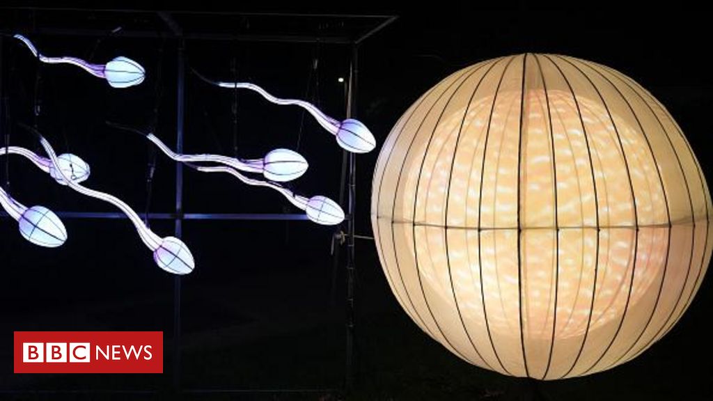 Como poluição está causando crise de fertilidade masculina - BBC News Brasil