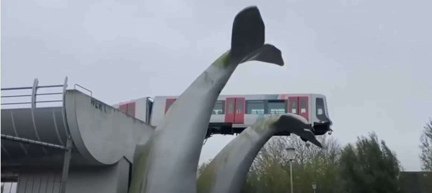 Metro Train Driver Saved By a Whale's Tail After Crashing Through Safety Barrier