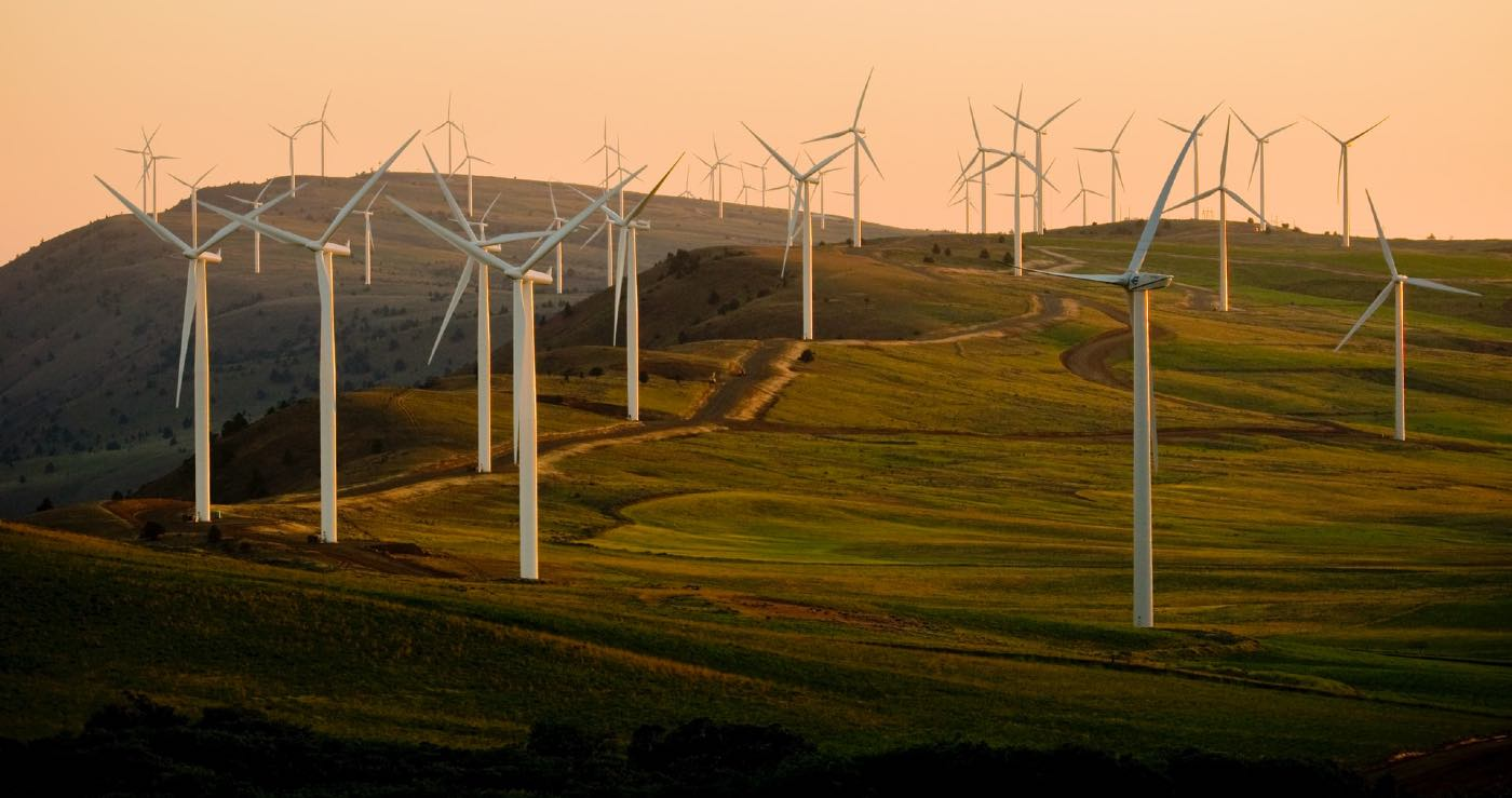 Renewable Energy Defies COVID-19 Downturn To Hit Record Growth in 2020