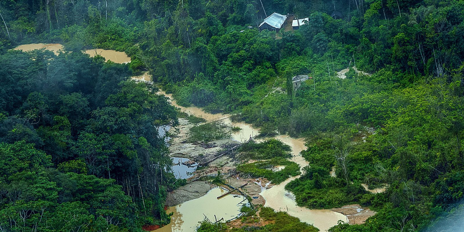 PF ouve primeiros depoimentos sobre ataque na Terra Yanomami