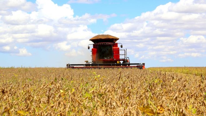 Safra de grãos do Paraná pode chegar a 47 milhões de toneladas