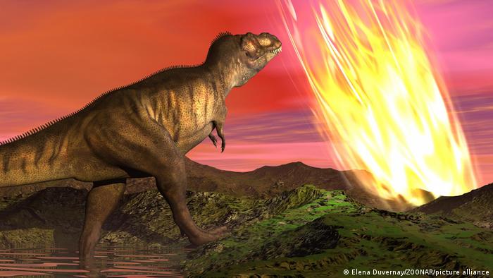 Por que dinossauros conseguiram viver em planeta escaldante - ISTOÉ DINHEIRO