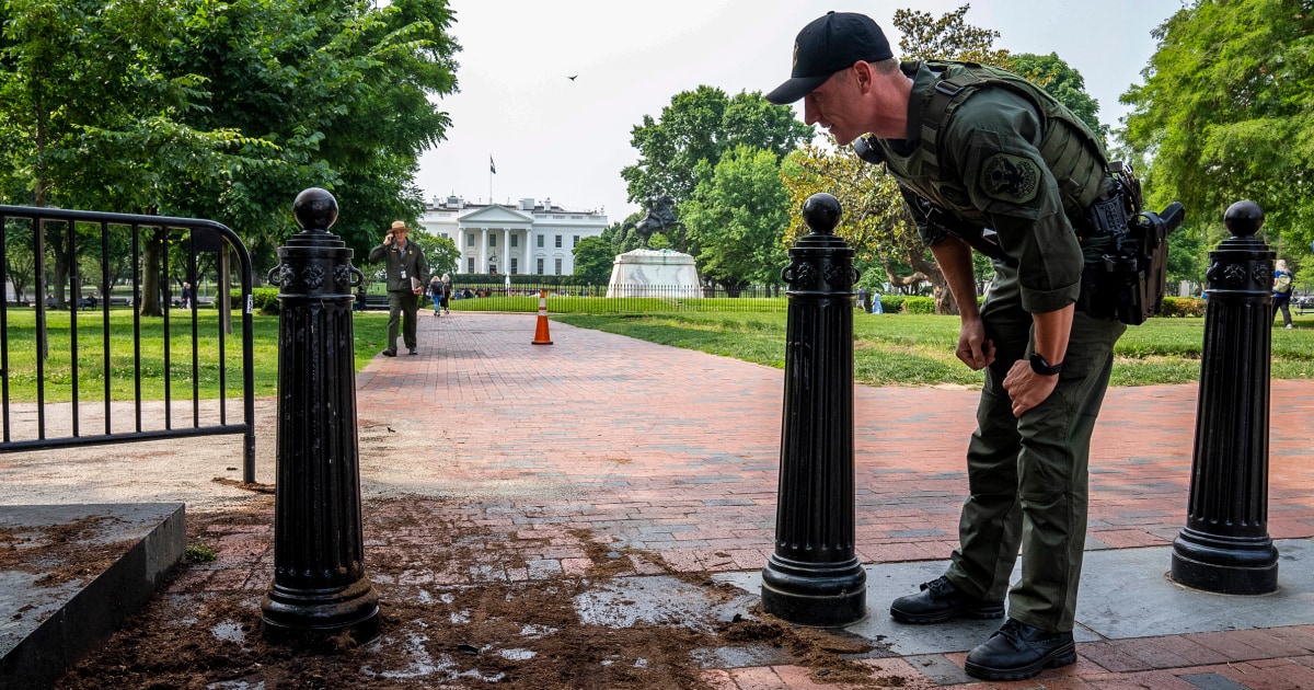 Driver who crashed near White House told officials he was prepared to kill Biden and 'seize power' 