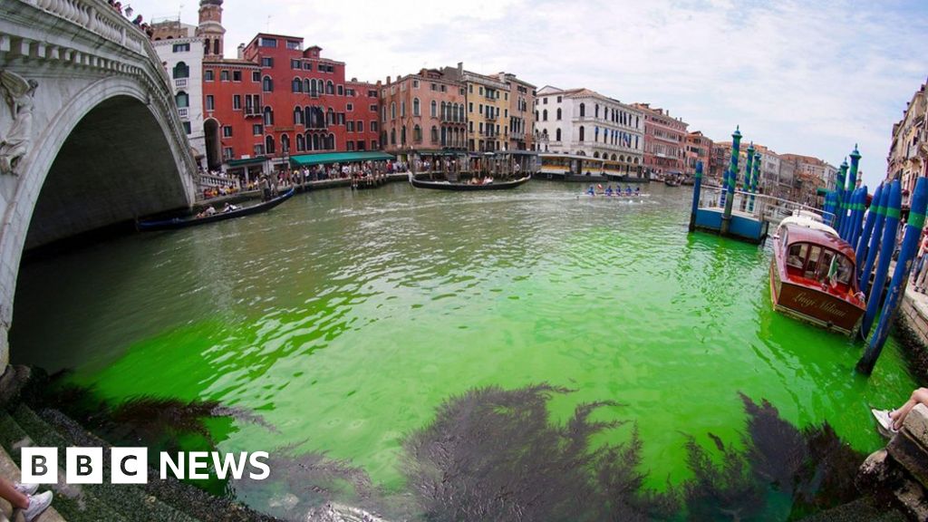 Venice canal patch turns fluorescent green