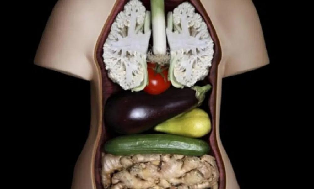 Você sabia? A aparência dos alimentos é igual aos órgãos que eles curam