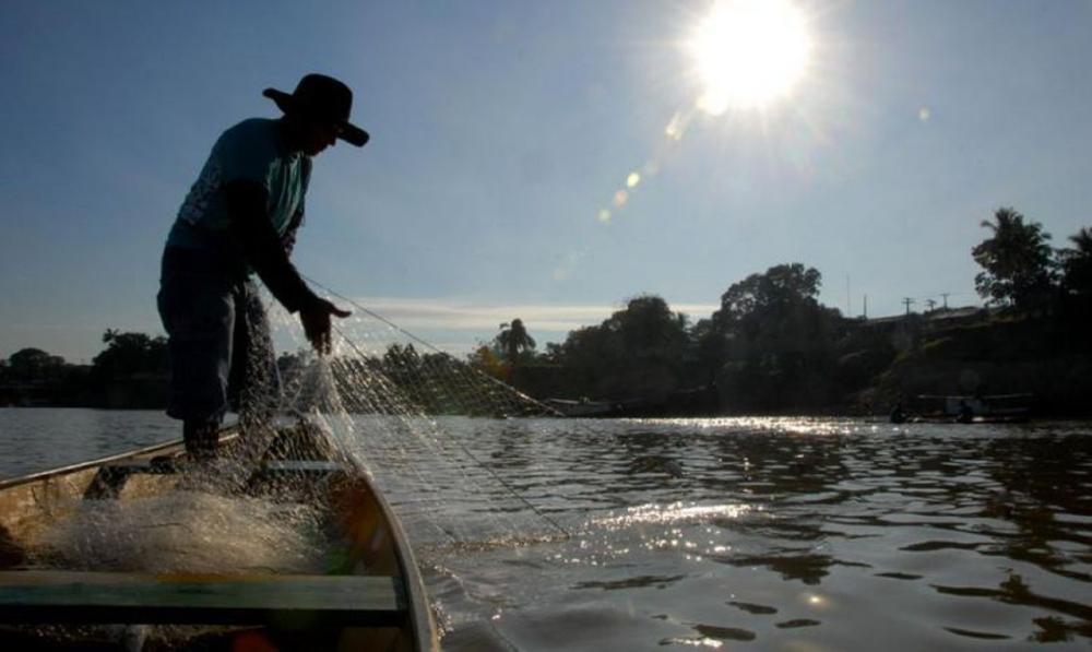 STF valida lei que proíbe pesca de arrasto no Rio Grande do Sul