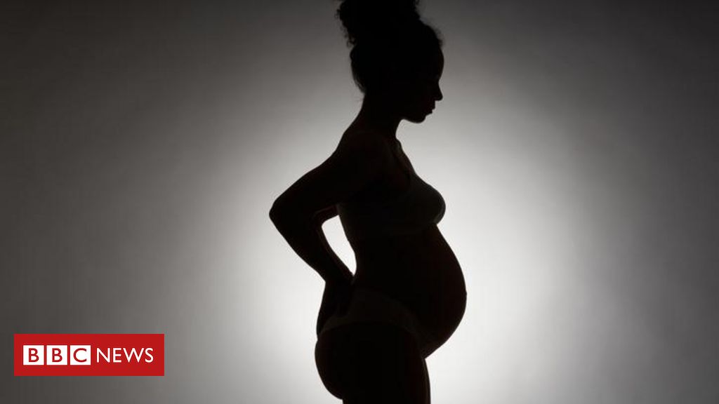 Eva mitocondrial: evidências e controvérsias sobre 'mãe de todas as mulheres' - BBC News Brasil