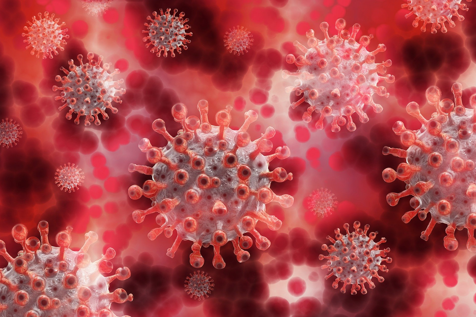 Mutação do coronavírus fecha fronteiras e acende alerta às vésperas do Natal