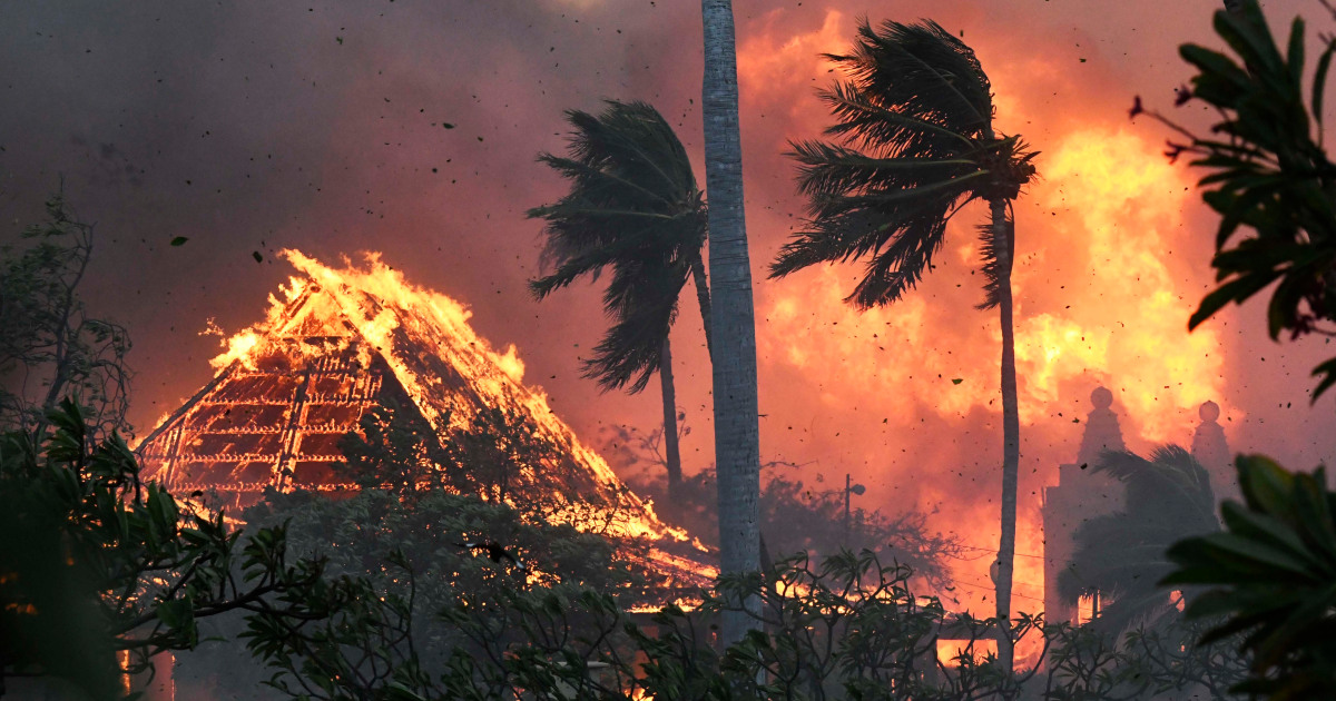 Maui fires live updates: 36 dead, thousands flee disaster