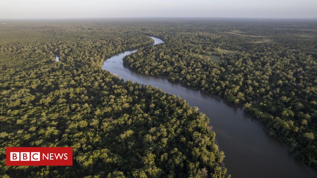 Rio Amazonas: curso d'água é o maior do mundo? Expedição para medir vai averiguar - BBC News Brasil