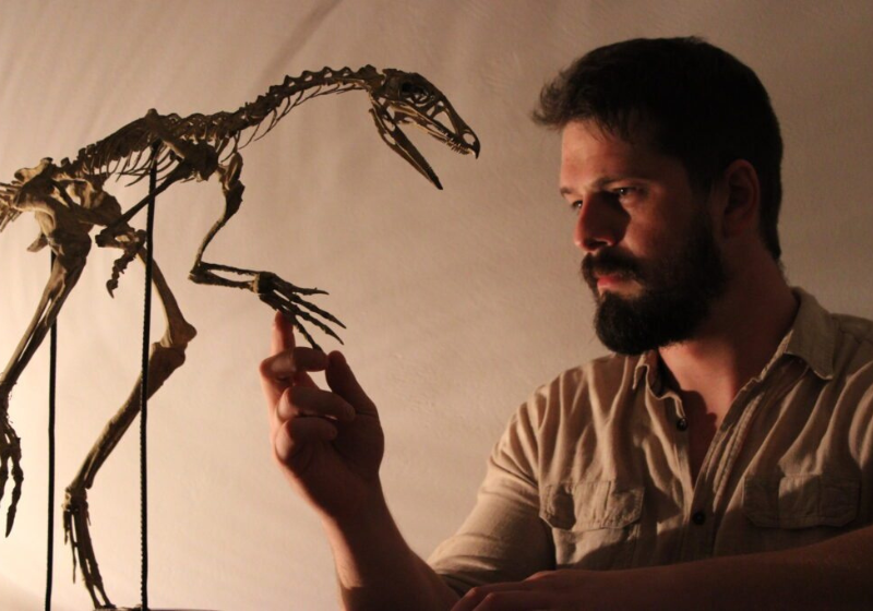 Fóssil descoberto por pesquisadores brasileiros é precursor dos pterossauros - Só Notícia Boa