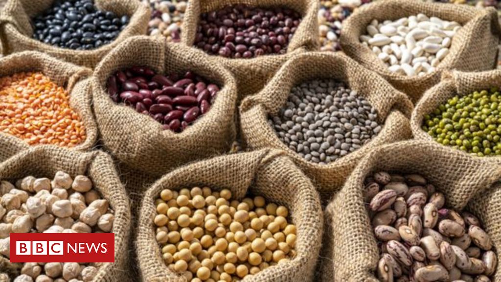 Por que as leguminosas podem ser a solução para muitos dos problemas do mundo - BBC News Brasil