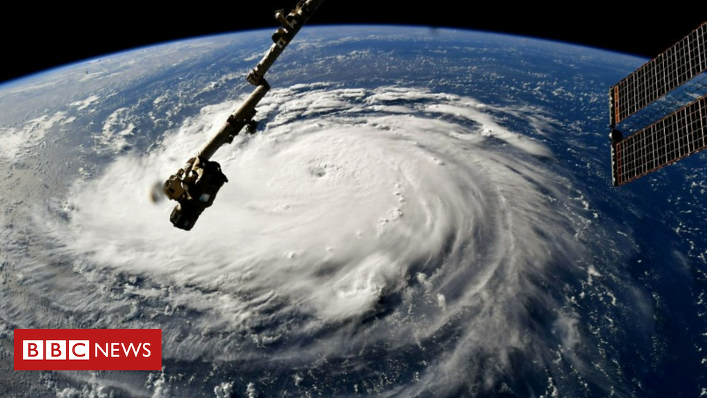 Furacão Idalia: Flórida se prepara para tempestade 'sem precedentes' - BBC News Brasil
