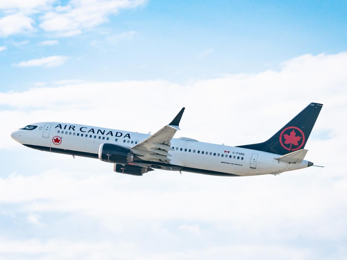 2 passengers were kicked off an Air Canada flight because they refused to sit in seats covered in puke, fellow traveler says