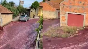 Ruas de cidade portuguesa viram um rio de vinho após reservatórios de vinícola se romperem