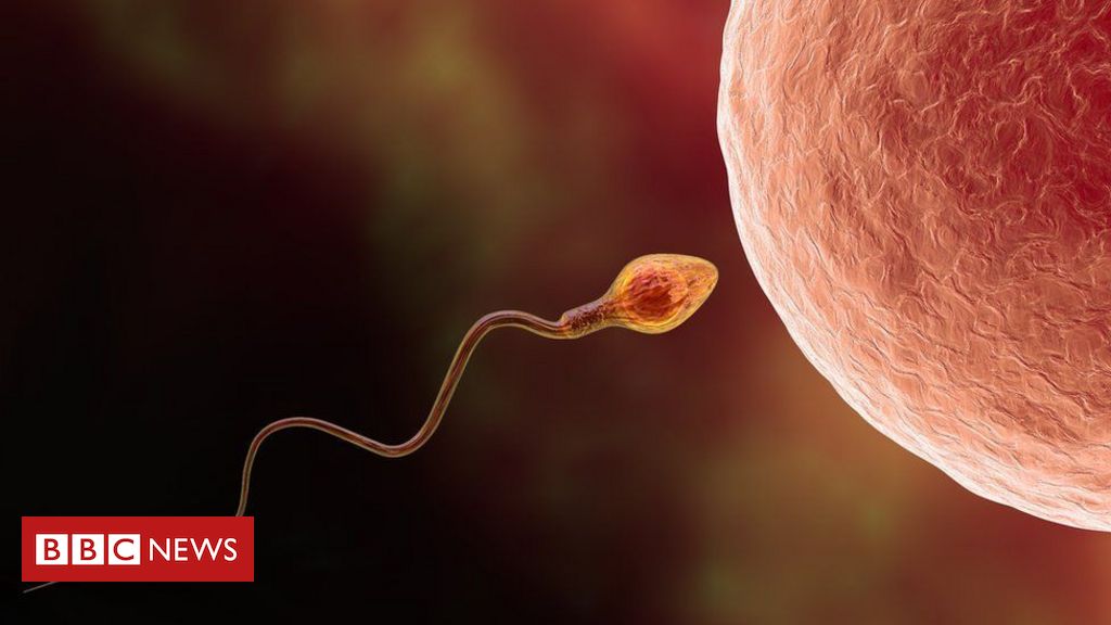 Como a inteligência artificial pode ajudar a tratar infertilidade masculina - BBC News Brasil