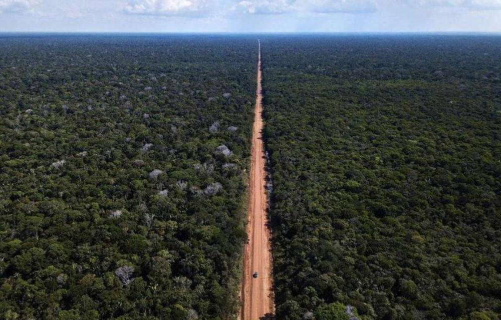 FPA emite nota contra veto a lei de regularização de terras na Amazônia