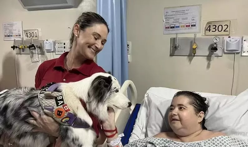 INCA realiza primeira sessão de terapia assistida por cães, na unidade de Vila Isabel, na Zona Norte do Rio