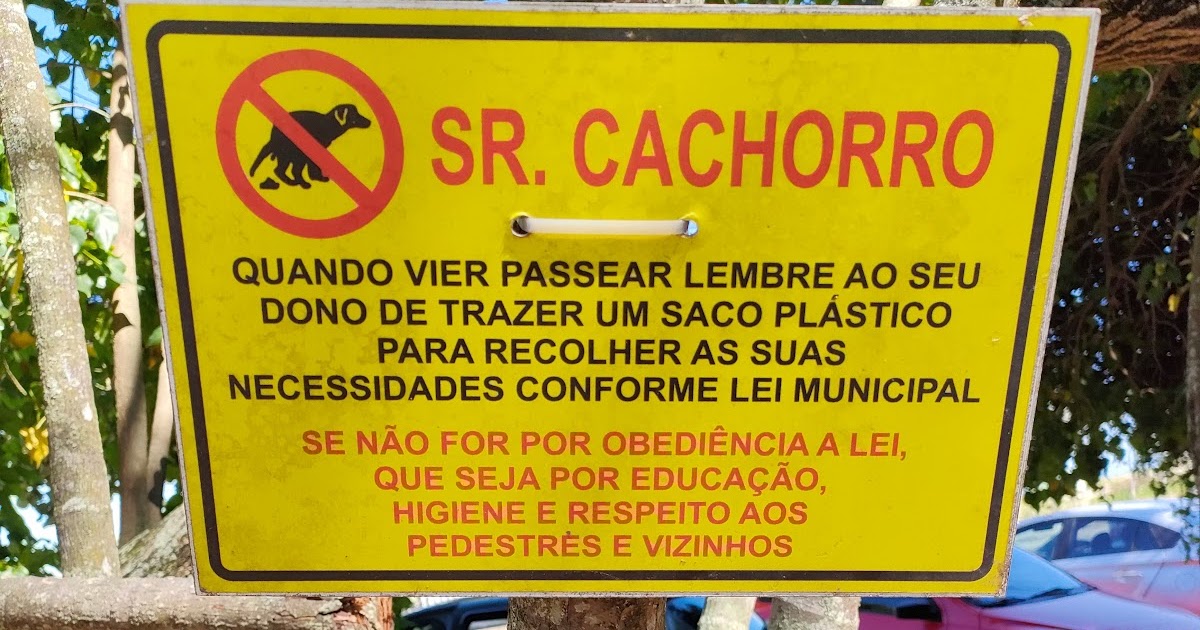 [Fotografando por aí] Sr. Cachorro