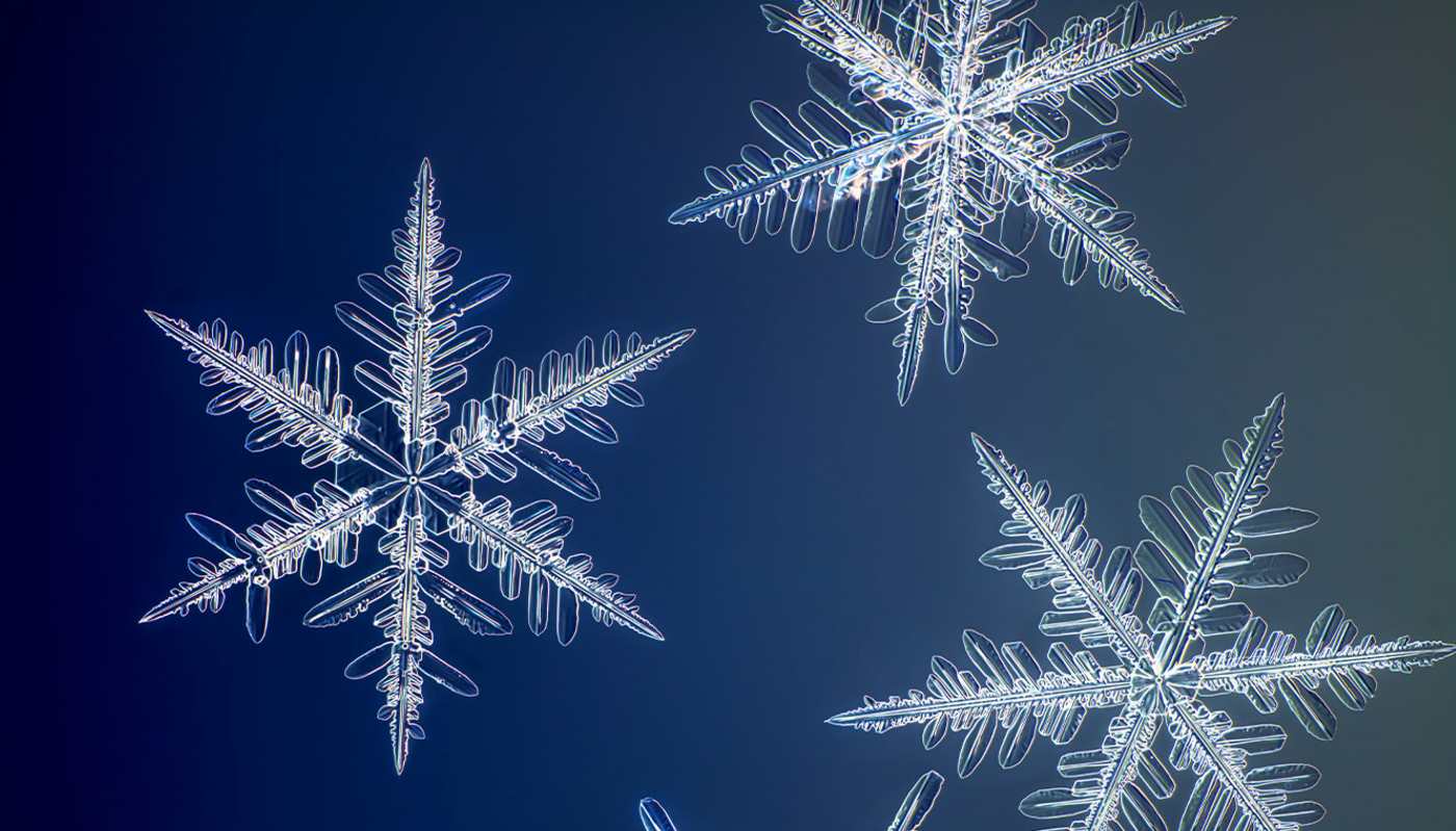 Check out the Highest Resolution Snowflake Photos Ever Taken