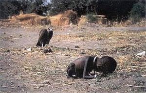 A fotografia que chocou o mundo: a história de Kevin Carter e o menino do abutre.