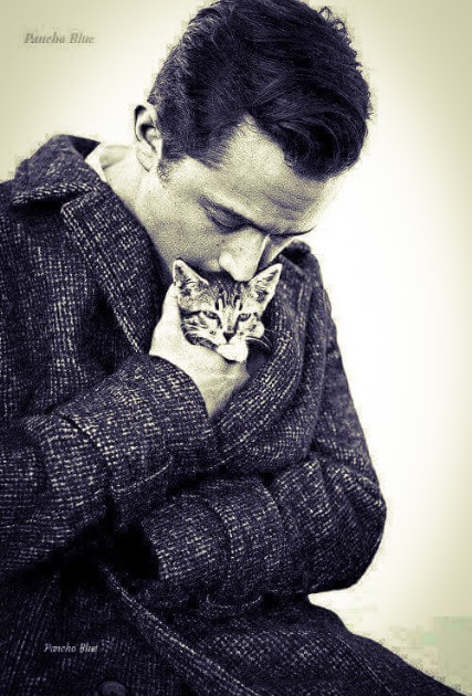 Freddie Mercury e o amor incondicional pelos gatos