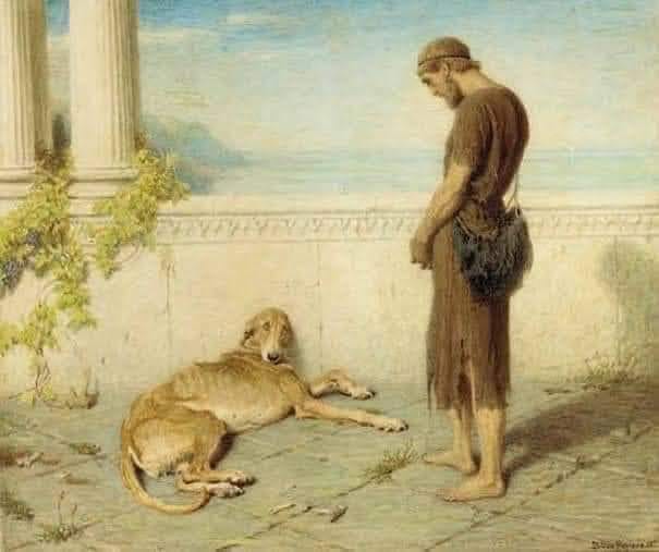 Argos – O Cão fiel