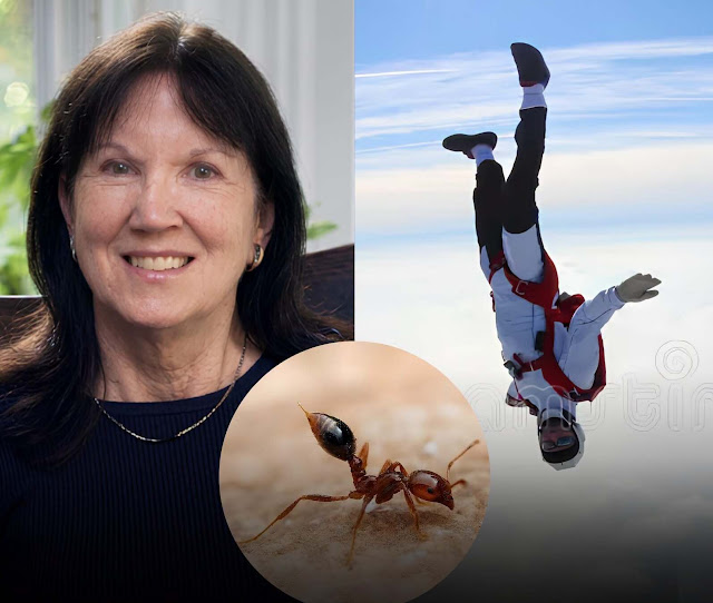 A Queda de Joan Murray