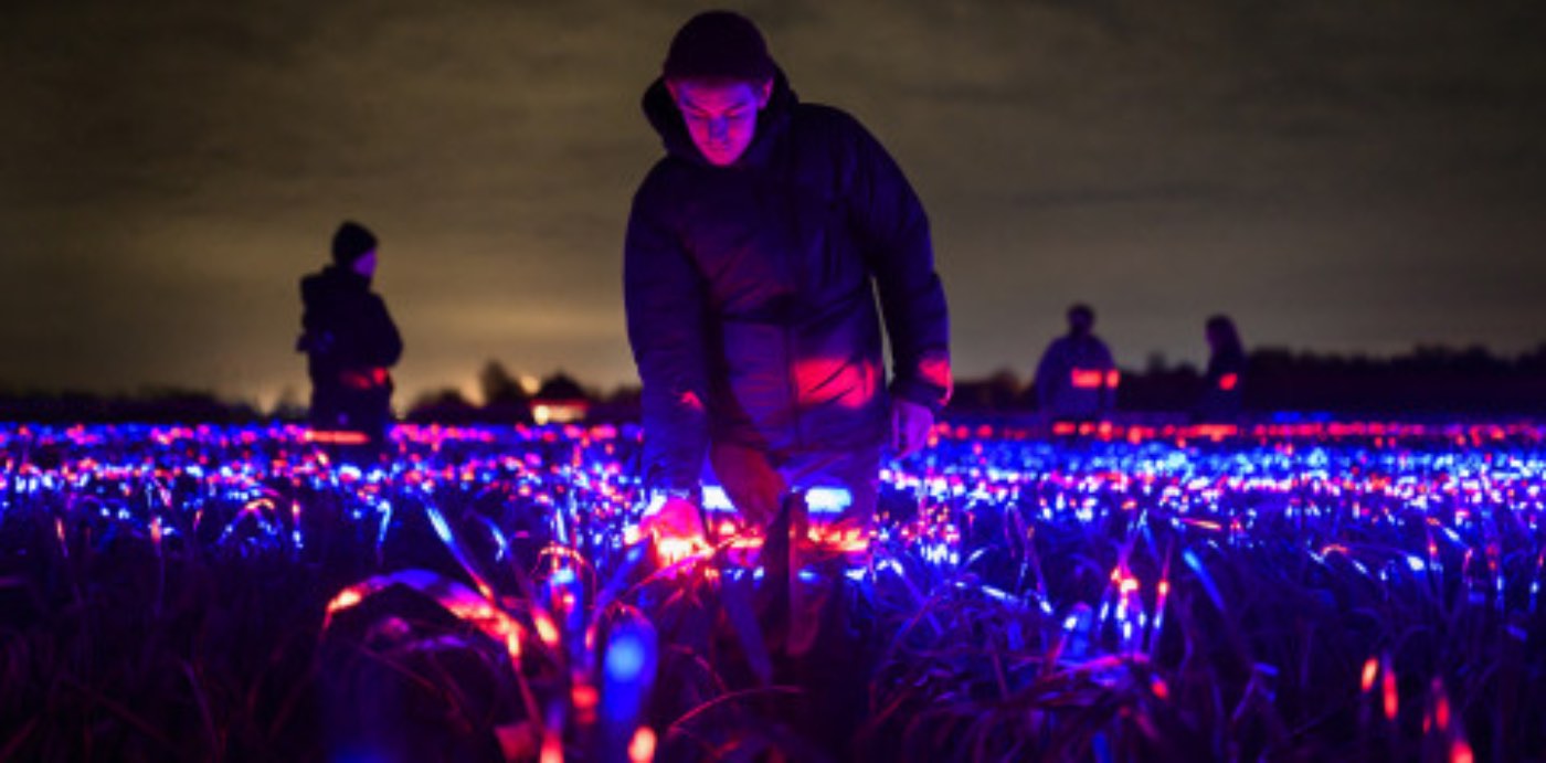 Dutch Design Artist Creates Lightshow in a Leek Field that Celebrates Farms and Enhances Plant Growth