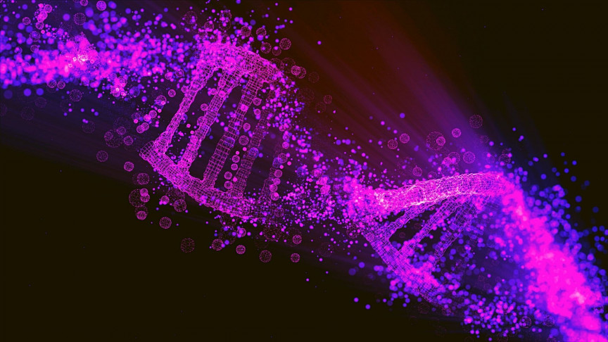 The Mystery of Human Evolution Could Be Explained by Quantum Tunneling