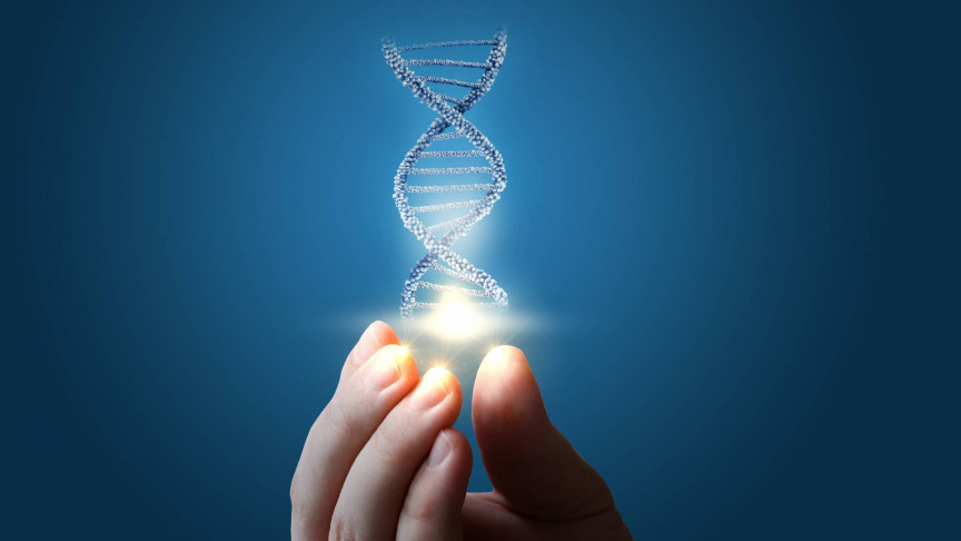 Study Sequences 64 Full Human Genomes From Around the Globe
