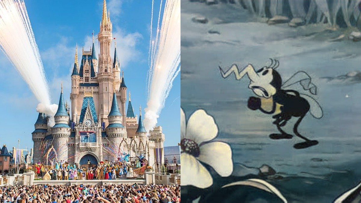 A razão engenhosa de não haver mosquitos em Disney World