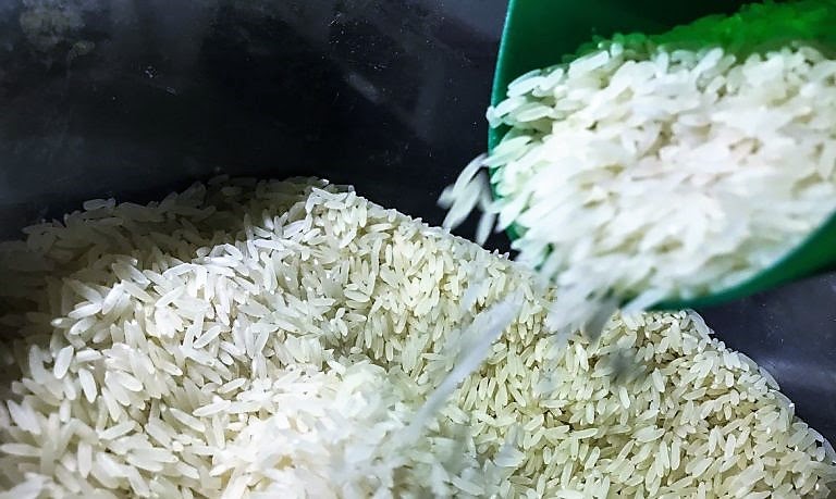 Brasil registra maior exportação de arroz dos últimos nove anos