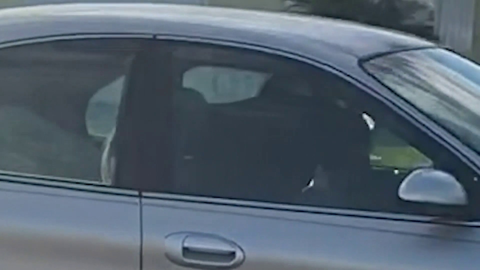 VIDEO: Dog days in Florida as pooch seen ‘driving’ car