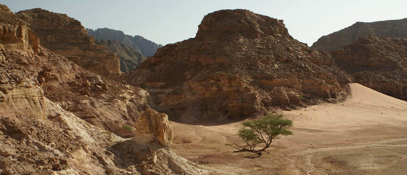 A Team of Maverick Engineers Want to Roll the Geological Clock Back on Sinai and Replace Desert with Lush Greenery
