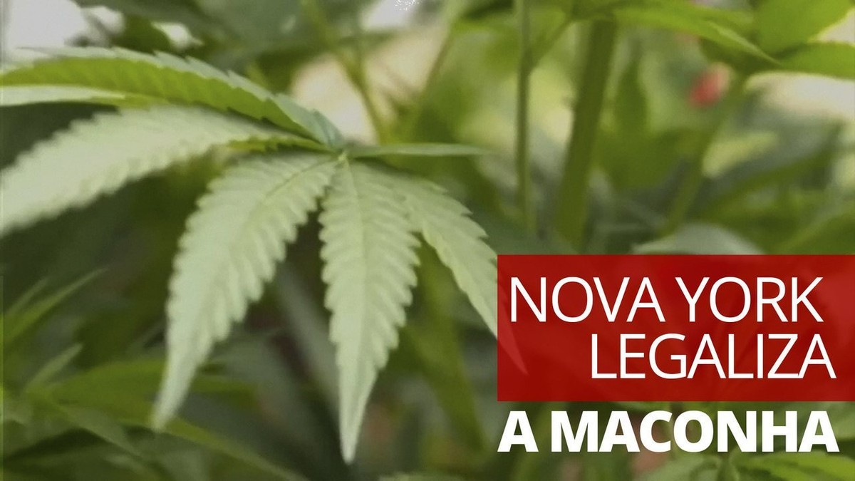 Governador de Nova York assina legalização do uso recreativo da maconha