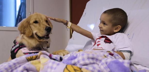 Hope, a cadela terapeuta: Animal da raça golden retriever vai a hospital no Rio visitar crianças com câncer
