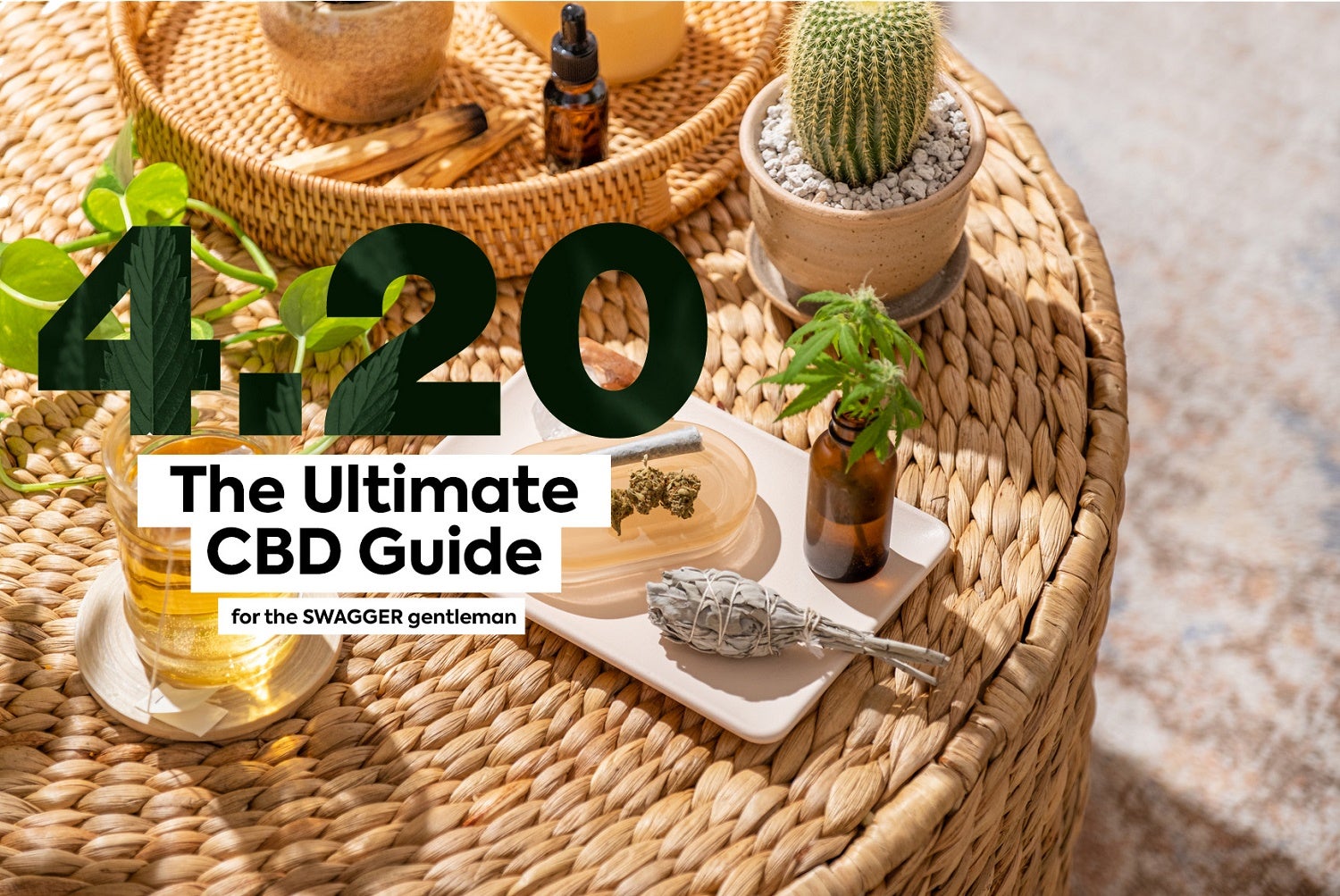 4.20: The Ultimate CBD Guide - SWAGGER Magazine