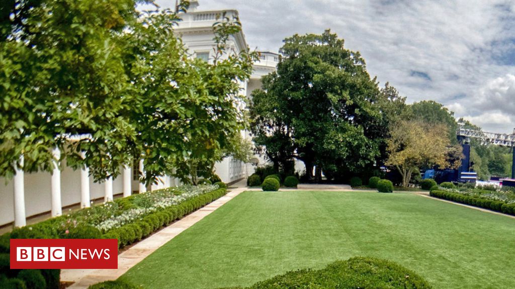 Petition urges US First Lady Jill Biden to restore White House garden to 'former glory'
