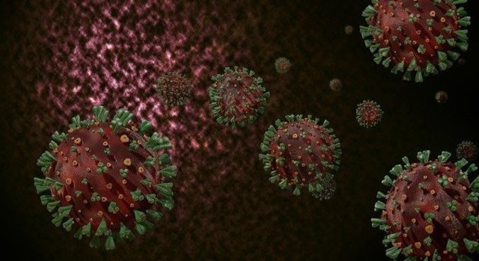 Estudo apresenta proteína capaz de impedir infecção do vírus da covid