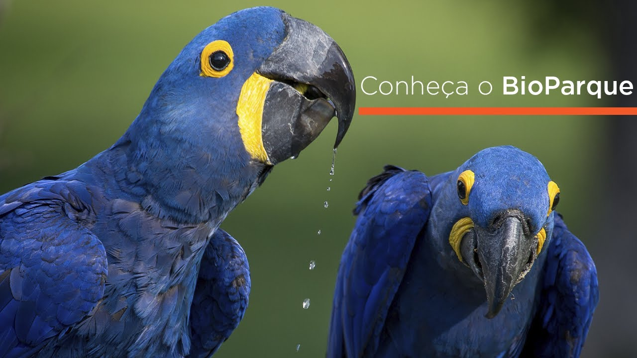 Agora somos BioParque do Rio!