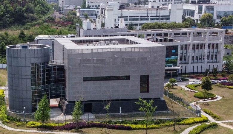 BOMBA: Novas provas apontam que coronavírus foi criado em laboratório chinês em Wuhan - Terra Brasil Notícias