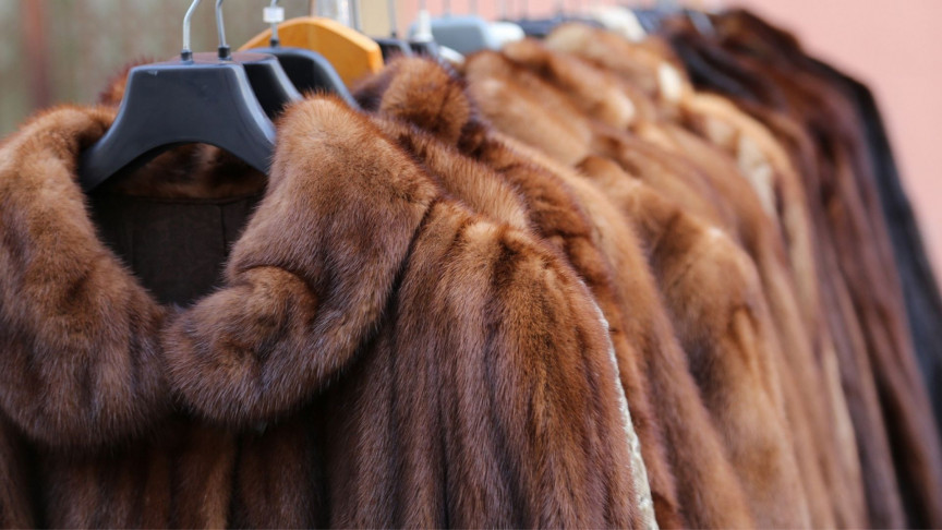 Israel Makes History, Becomes First Country to Ban Fur