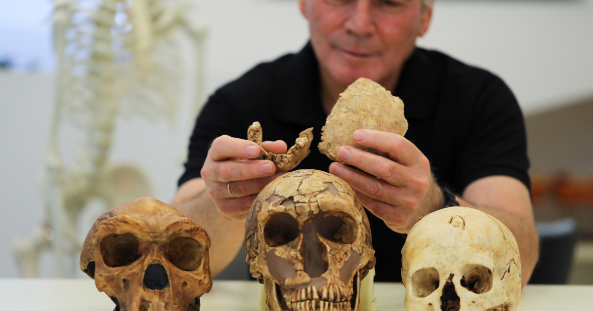 Researchers find ‘new type of early human’ near Israel’s Ramla