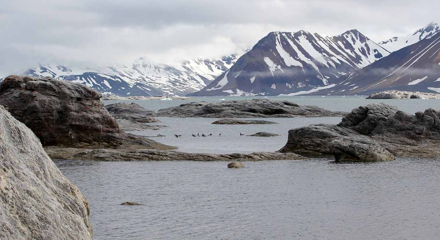 Norway Closes Down Its Last Arctic Coal Mine and Transforms Land into ‘Best Managed’ National Park